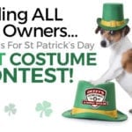 Dezzys Pet Rescue- -Dog-St Patricks Day Parade-March 16-2018-unnamed