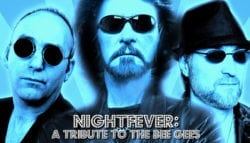 Bee Gees Tribute-January 21-2018-nightfever