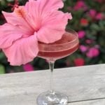 Hibiscus Blood Orange Margarita