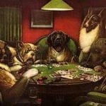 dogs playing poker-is