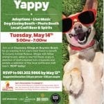 Tri County-May 14-2019-Dog Adoption-unnamed