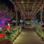 Hoffman’s Christmas Display-November 21 to December 30-2015-d4a24958-7014-4e8a-9853-d4e125ab7d11