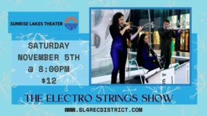 A poster for the electro strings show.